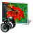 File JPEG Icon